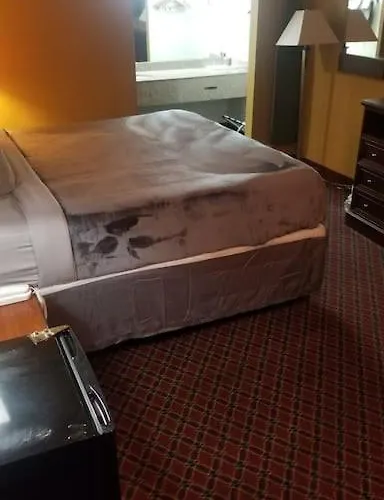 Osu 2 Queen Beds Hotel Room 238 Booking